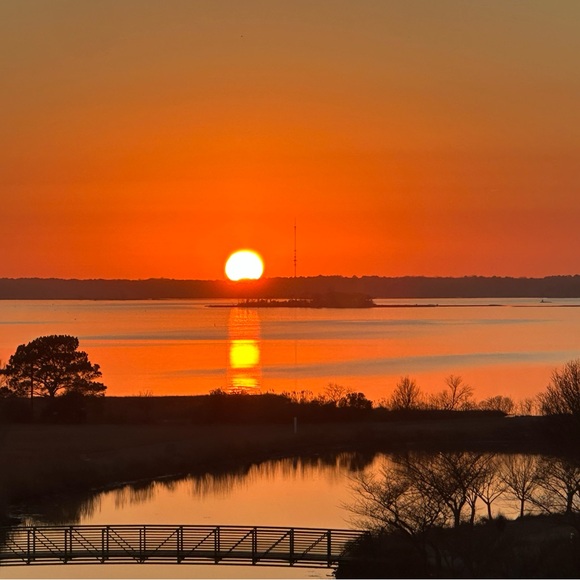 Live Share Show Listing - Picture 7 of 10